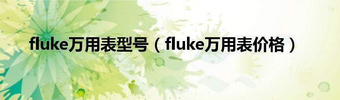 fluke万用表型号（fluke万用表价格）