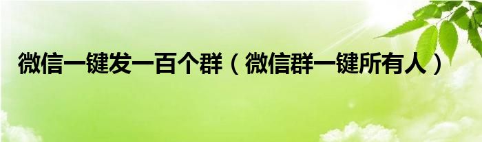 微信一键发一百个群（微信群一键所有人）