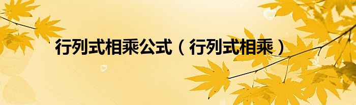 行列式相乘公式（行列式相乘）