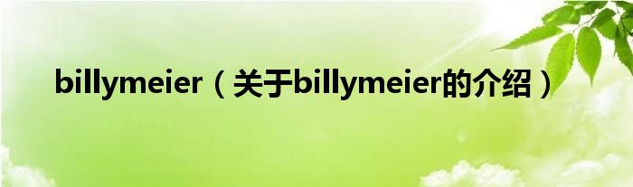 billymeier（关于billymeier的介绍）