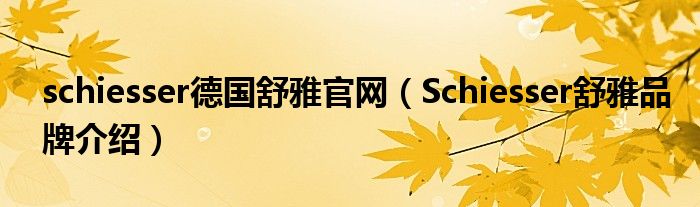 schiesser德国舒雅官网（Schiesser舒雅品牌介绍）
