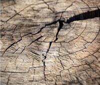 欢迎报名 2021全球数字经济大会—数字基建与生态发展论坛将于8月3日在京召开